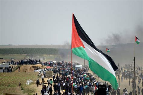 احداث فلسطين اليوم